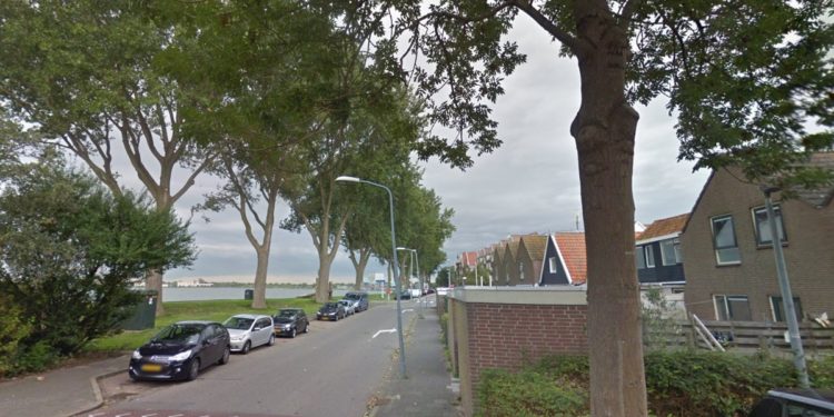 Start vervanging populierenrij Westerdijk Start vervanging populierenrij Westerdijk